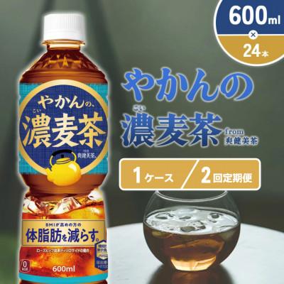 ふるさと納税 えびの市 【毎月定期便】やかんの濃麦茶 from 爽健美茶PET 600ml×24本1ケース(えびの市)全2回