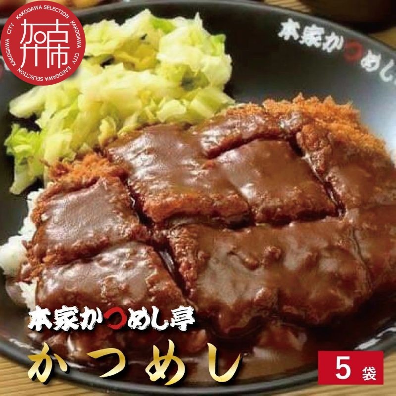 本家かつめし亭のかつめし(5食入り)《 かつめし 本家かつめし亭 デミグラスソース おいしい 洋食 おすすめ 》【2402I05601】
