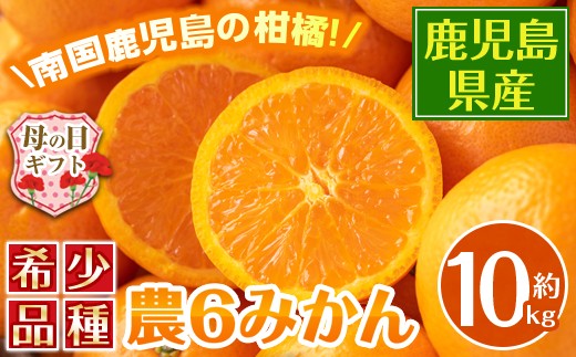 
                  i593-m 【母の日ギフト】農6みかん(約10kg) 果物 フルーツ 柑橘 国産 鹿児島県産 みかん 蜜柑 母の日 プレゼント ギフト 贈答 【江崎果樹園】
                