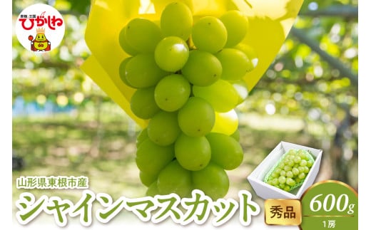 2026年産 シャインマスカット 600g(1房） 秀品 山形県 東根市　hi082-057