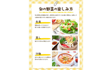 野菜 旬の野菜セット Mサイズ 約8～9種