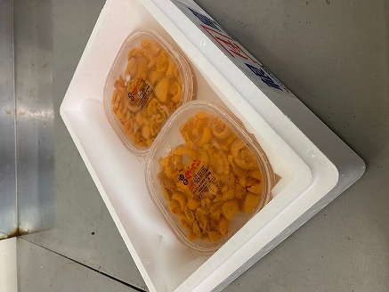 塩水うに85g前後×2P[11月中旬以降発送] A-60004