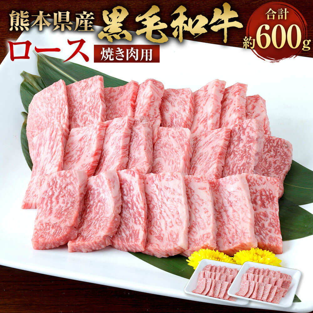 【ふるさと納税】熊本県産 黒毛和牛 焼き肉用 ロース 計約600g（約300g×2）和牛 肉 牛肉 お肉 焼肉 焼き肉 BBQ バーベキュー 冷凍 国産 牛ロース 国産牛 熊本県産 九州産 お取り寄せ グルメ 九州 熊本県 相良村 送料無料