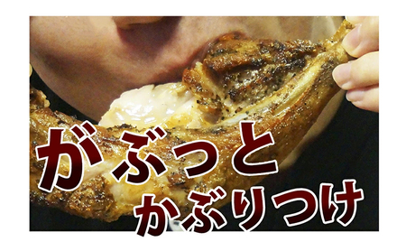 讃岐名物骨付鳥（わか）8本セット