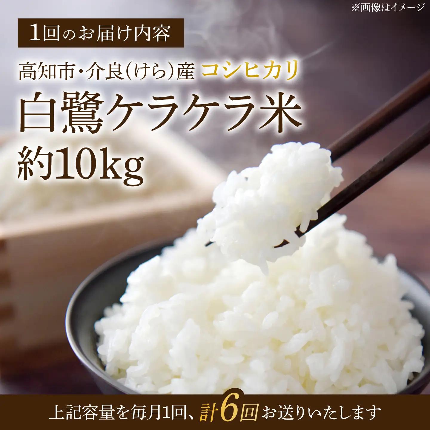 【6回定期便】 R8年度産 特別栽培米 農薬節減！ 白鷺ケラケラ米 コシヒカリ 各約10kg 合計約60kg / 高知 米 精米 　【津ノ宮農園】[ATBV015]