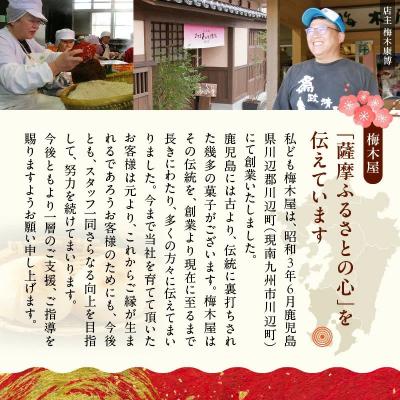 ふるさと納税 南九州市 「懐かしかー」かごっま名菓たもいやんせセット |  | 03