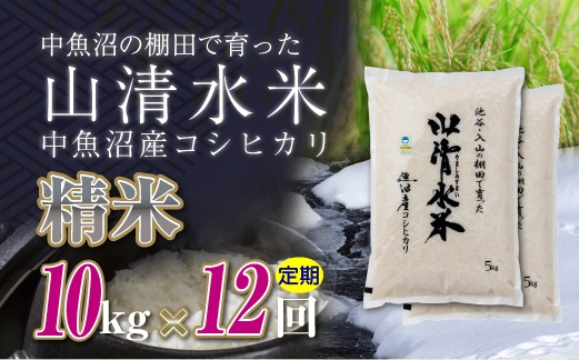 
            【先行新米予約】【定期便／全12回】精米10kg　新潟県魚沼産コシヒカリ「山清水米」十日町市 米
          
