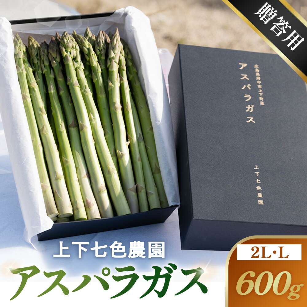 【ふるさと納税】上下七色農園贈答用アスパラガス　2L・Lサイズ　貼箱（600g）［No.1093］／ アスパラガス グリーンアスパラ 贈答用 ギフト お中元 新鮮 みずみずしい 甘み やわらかい 国産 産地直送 朝採れ Lサイズ 2Lサイズ 化粧箱入り 贈り物 春野菜 高級野菜 送料無料