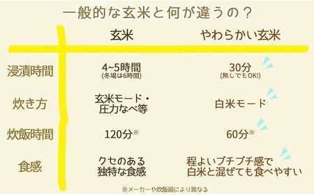 やわらかい玄米 1.8kg(900g×2袋) ※6回定期便 安心安全なヤマトライス H074-533