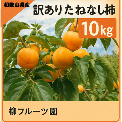 
            柳フルーツ園の訳ありたねなし柿　10kg【1077826】
          
