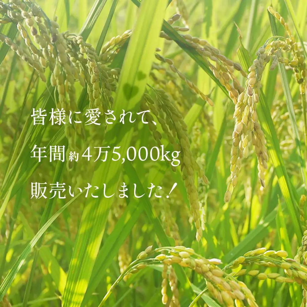 令和7年産 富山県産 コシヒカリ 《寿》 ５kg  富山県 氷見市 こしひかり