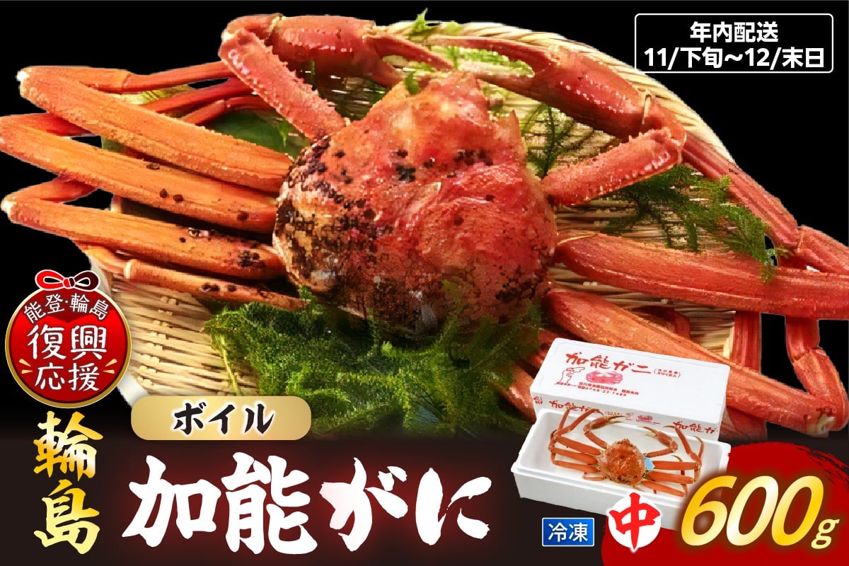 
            【先行予約】加能ガニ（雄ズワイガニ、冷凍）（中）2025年11月下旬-12月末日にお届け】
          