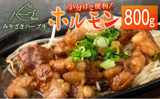 
                  小分けで便利＜宮崎ハーブ牛＞ ホルモン 小腸（200g×4パック）国産【B577】
                