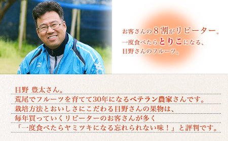 【先行予約】 訳あり 梨 荒尾梨 約 4.5kg ～ 5kg (6～18玉前後) 秋 旬 目野果実直売所《7月下旬-10月上旬頃出荷》熊本県 荒尾市産 なし フルーツ 果物 新鮮 愛甘水 幸水 秋麗 
