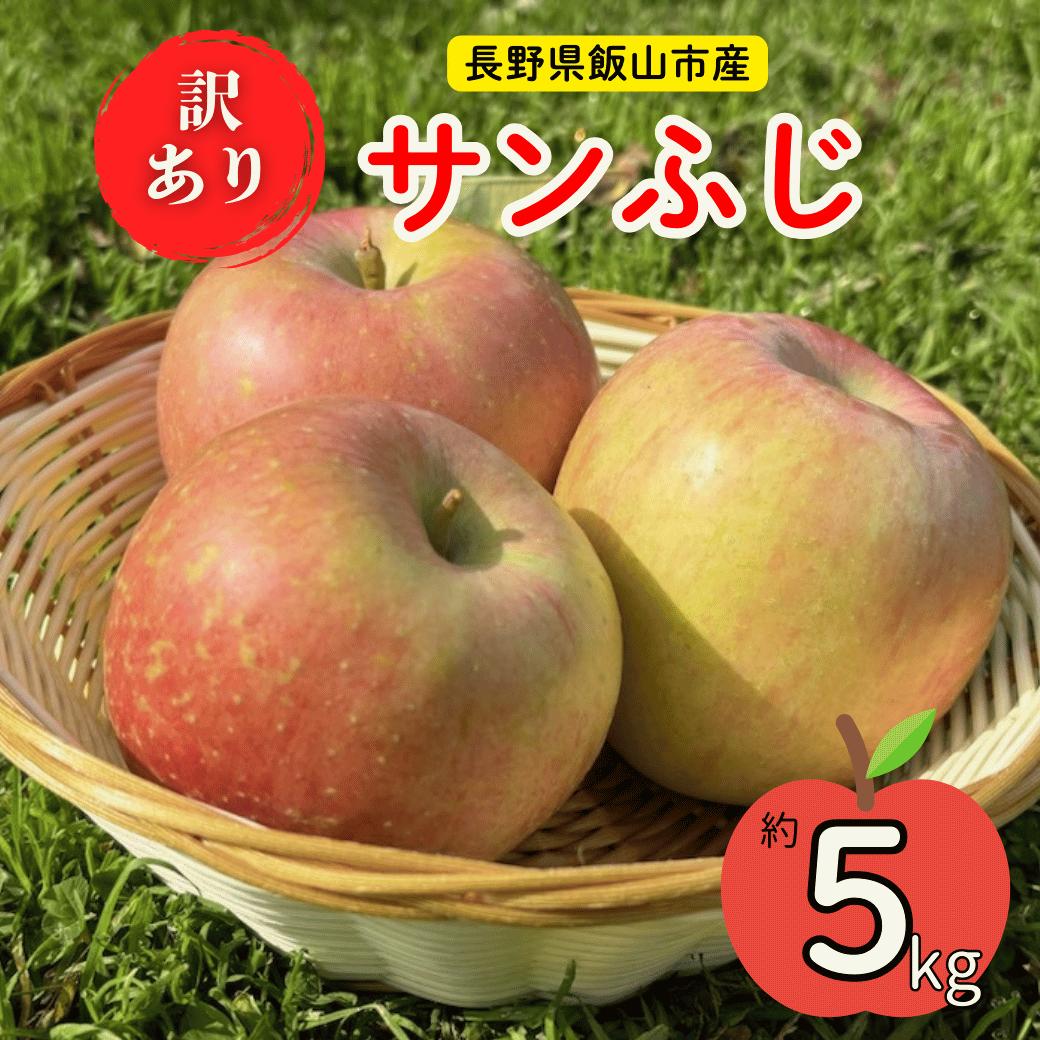 【先行予約】【訳あり】サンふじ 【約5kg(11-20玉）】（2025年産） (7-A39-2)