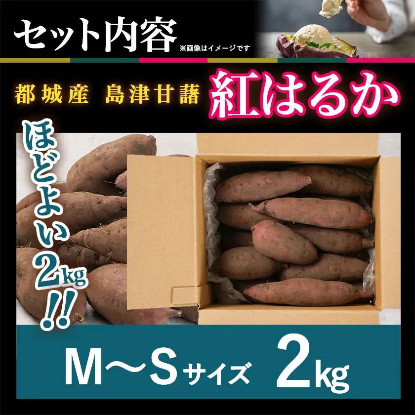 先行受付!【11月お届け】島津甘藷　熟成紅はるか 2kg(M～S)〔LB-A7-001-2kg-11〕_(都城市) さつまいも 幻のサツマイモ 幻の品種 紅はるか 2kg M～S べにはるか 生芋 ベ