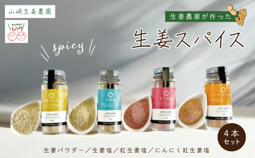【山﨑生姜農園 】 生姜農家 が作った 生姜スパイス 4本 セット （ 生姜塩・紅生姜塩・にんにく紅生姜塩・生姜パウダー） 粉末 パウダー 調味料 スパイス 塩 生姜 しょうが ショウガ にんにく ニンニク 高知県 高知 四万十市 四万十 しまんと