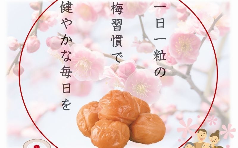 紀州南高梅 白干 500g×2 塩分 約18% 　yamada012A