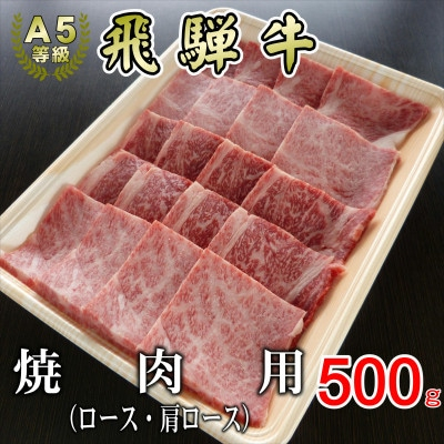 
[A5等級]飛騨牛焼肉用500g　ロース又は肩ロース肉【1445787】
