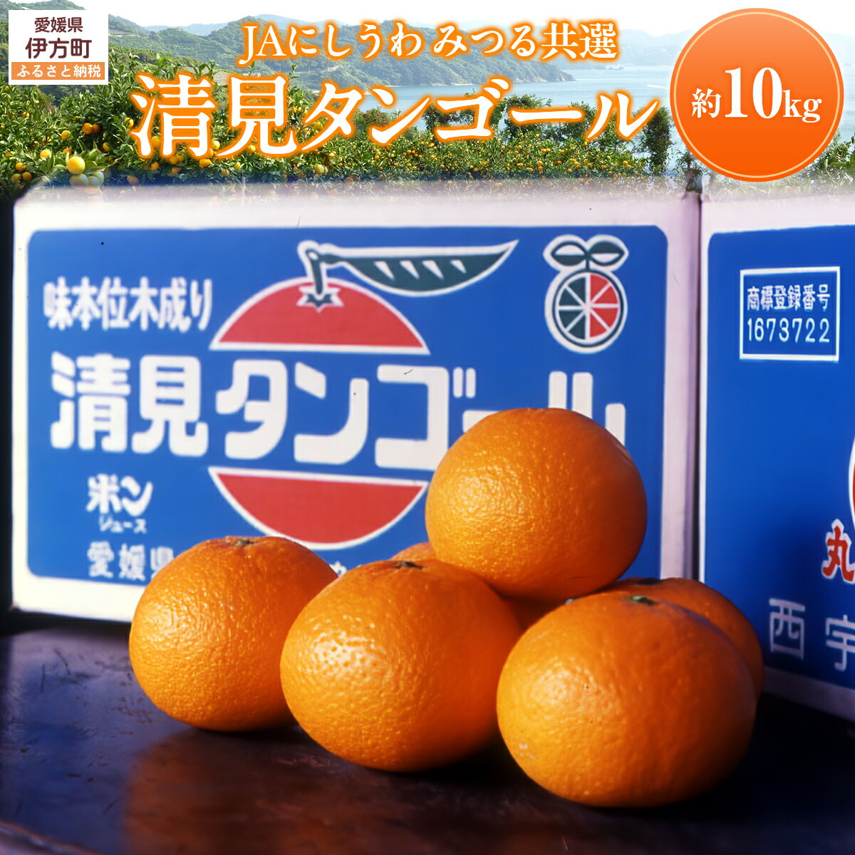 【ふるさと納税】【先行予約】【数量限定】JAにしうわ みつる共選 清見タンゴール 約10kg ※離島への配送不可（2026年3月上旬より順次発送予定） 【ふるさと納税 人気 おすすめ みかん 清見タンゴール 果物 柑橘 フルーツ くだもの 愛媛県 伊方町 送料無料】 IKTBC009