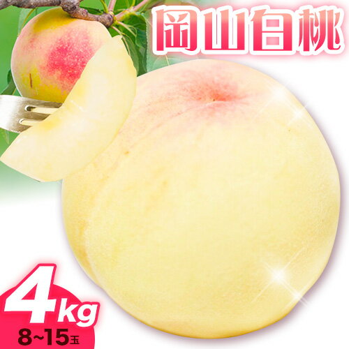 【ふるさと納税】【2025年 先行受付】白桃 岡山 約4kg 8〜15玉 《2025年7月上旬-8月上旬頃出荷予定》有限会社 土方商店 岡山県産 岡山県 備前市
