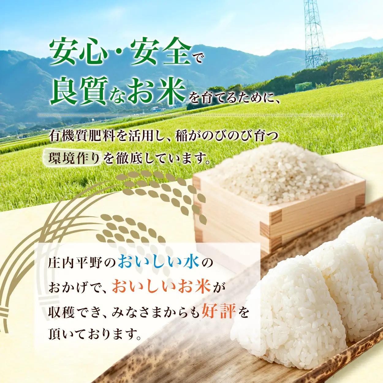 雪若丸 無洗米10kg(5kg×2袋) 令和8年産 山形県鶴岡市 らん工房