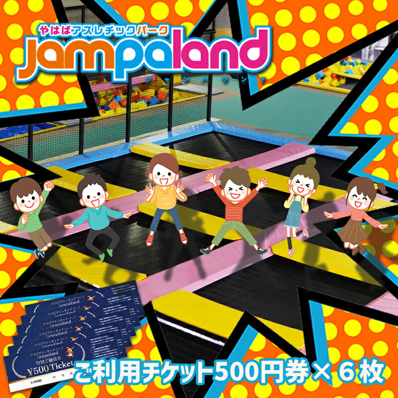【ふるさと納税】大人から子どもまで本気で遊べる！やはばアスレチックパークjampaland(ジャンパランド)利用券　500円券×6枚