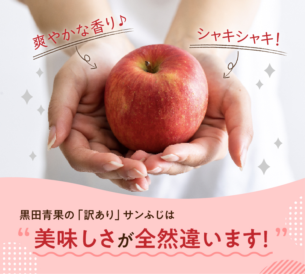 【2027年1月後半発送】 りんご 約5kg サンふじ 【ちょっと訳あり】 青森県産