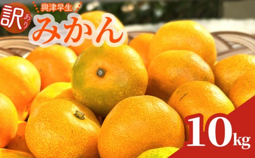 【数量限定】訳あり 早生みかん 約10kg 興津 早生 温州 みかん 先行予約 2026年 11月 上旬 から 発送 期間限定 早生みかん わせみかん ミカン 蜜柑 mikan 柑橘 果物 フルーツ ふるーつ 興津早生 日南早生 おやつ 果汁 果実 農家直送 産地直送 ギフト プレゼント 贈答 お中元 お歳暮 美味しい 新鮮 国産 静岡みかん 静岡蜜柑 わけあり minorien 牧之原市 静岡県