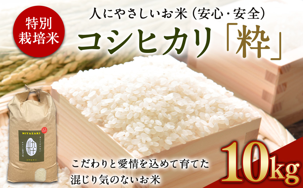 ＜令和6年度 特別栽培米「粋」コシヒカリ 10kg＞ ※入金確認後、翌月末迄に順次出荷します。 米 こしひかり