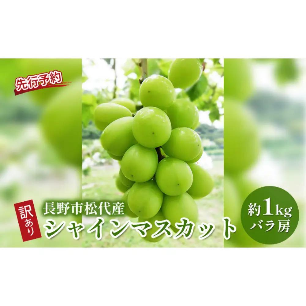 高野農園　長野市松代産 訳ありシャインマスカット 約1kg（バラ房） |シャインマスカット