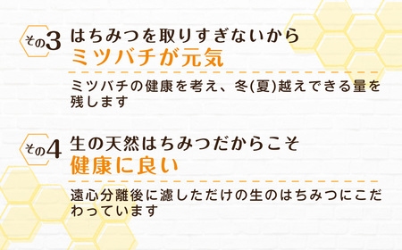 はちみつ屋さんの滝ノ谷HONEY 150gx1 MBAW001