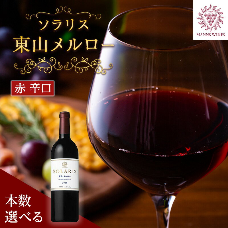 【ふるさと納税】ソラリス 東山メルロー ワイン 赤ワイン 受賞歴多数あり お酒 酒 アルコール 信州 長野　【 上田市 】　お届け：20日以内に発送いたします