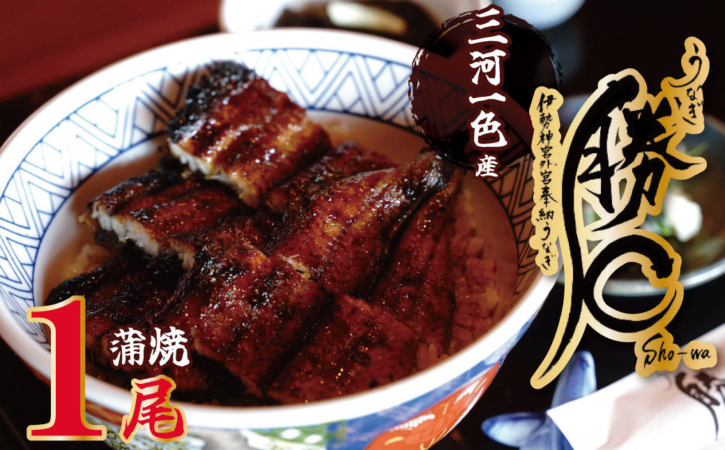 
【備長炭で焼く“いい焦がし”】三河一色産うなぎの蒲焼1尾 鰻 ウナギ たれ タレ 国産 備長炭 土用 丑の日 冷凍 三河一色産 H189-001
