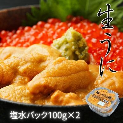 ふるさと納税 根室市 エゾバフンウニ塩水パック100g×2P(計200g) C-61003