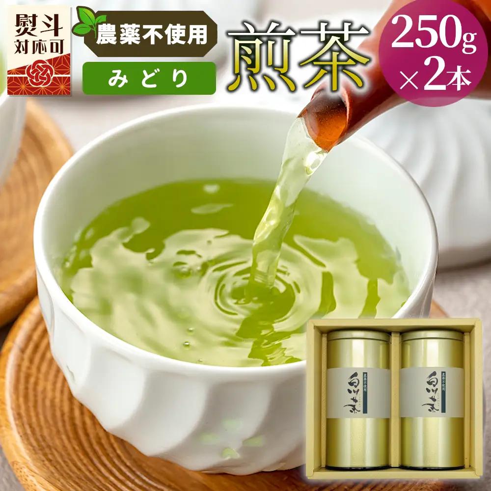 農薬不使用！煎茶 ギフト NO.29 （みどり100g×3 計300g） 常磐園 みどり 日本茶 緑茶 茶葉 白川茶 お茶 春摘み 岐阜県 東白川村 お取り寄せ 贈答用 プレゼント 母の日 ギフト