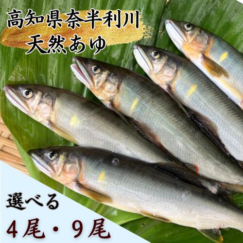 【ふるさと納税】奈半利川の友釣り天然アユ（冷凍） 【選べる】 （4尾 or 9尾) 利き鮎グランプリ受賞 釣り 鮎 あゆ 奈半利川 アウトドア 清流めぐり利き鮎会 SPグランプリ受賞 /高知県 奈半利町