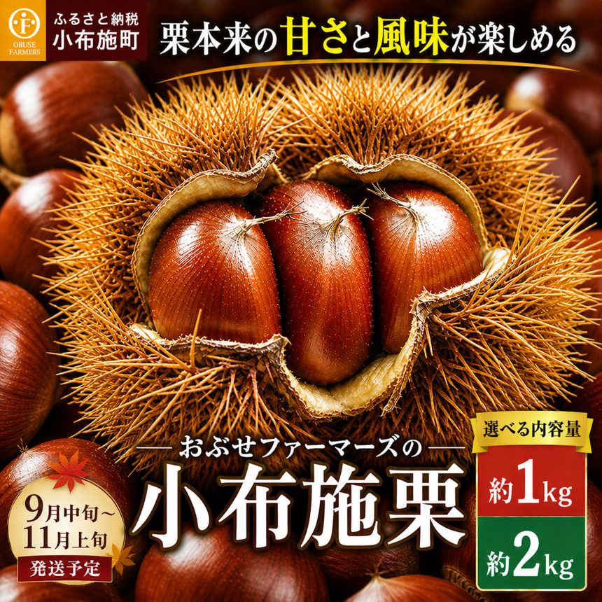 【ふるさと納税】先行受付 無くん蒸小布施栗 約1kg 約2kg 内容量が選べる ［おぶせファーマーズ］｜生栗 くり 果物 フルーツ 数量限定 クール便 冷蔵便 長野県産 信州産 秋 ご当地 特産品 名産 日本三大栗 令和8年産 【2026年9月中旬〜11月上旬発送】