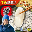 【ふるさと納税】牡蠣 むき身 冷凍 かき カキ うまさが違う！ (冷凍) 大粒 かき 鍛え牡蠣 むき身 Mサイズ 計1kg（冷凍) 人気 海鮮 BBQ 簡単 レシピ ギフト 江田島市/有限会社寺本水産 [XAE021]