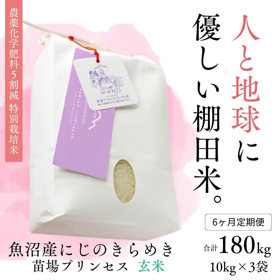 【令和8年産先行予約】【6ヶ月定期便】【農薬化学肥料5割減】魚沼産にじのきらめき苗場プリンセス特別栽培米 玄米 30kg(10kg×3) 計180kg | 津南町 にじのきらめき