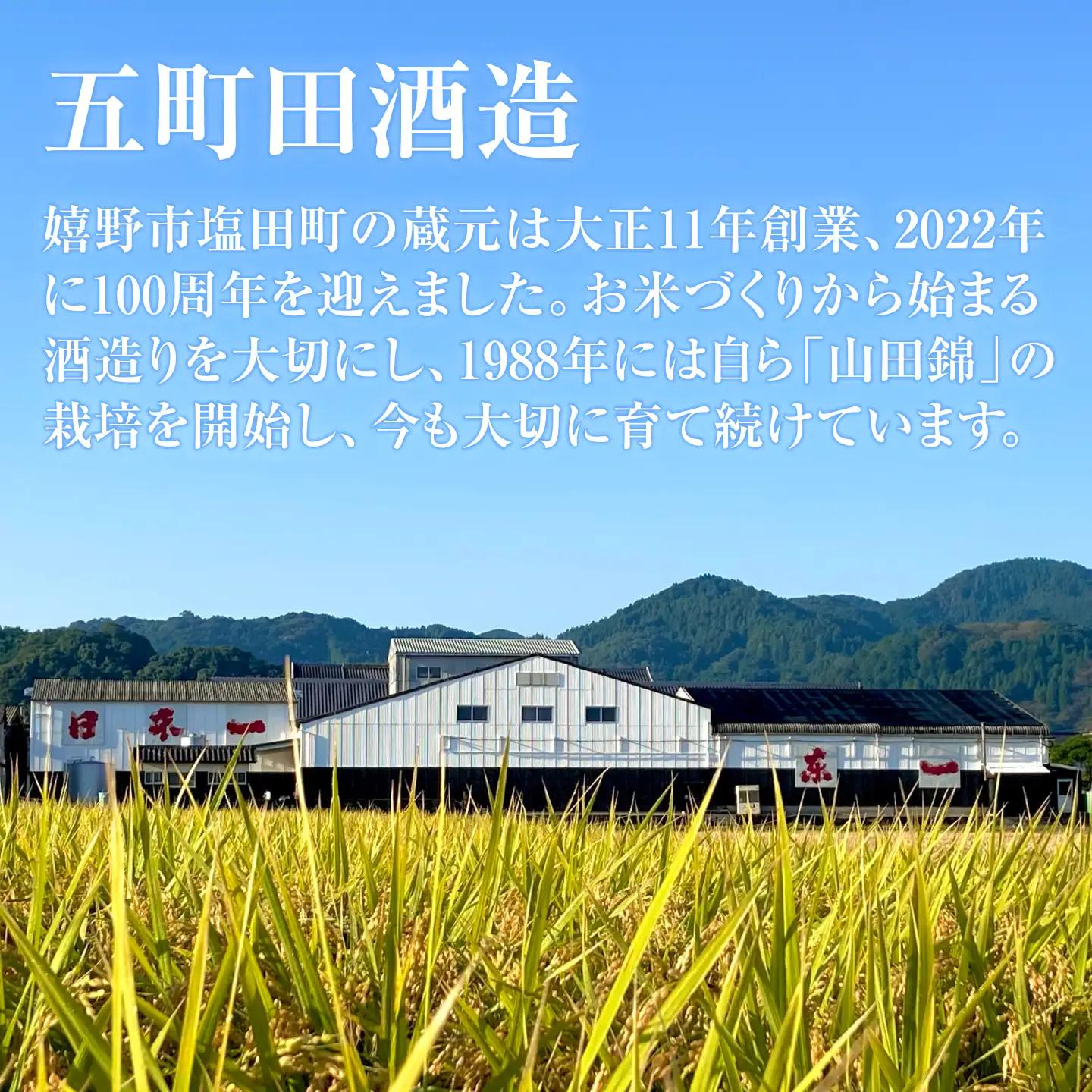 東一 純米吟醸・山田錦純米酒 720ml×2本 / 佐賀県 / 有限会社嬉野酒店 [41AIAA018]
