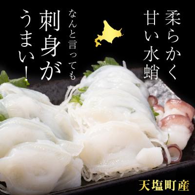ふるさと納税 天塩町 北海道 ☆天塩町産たこ足1kg |  | 01