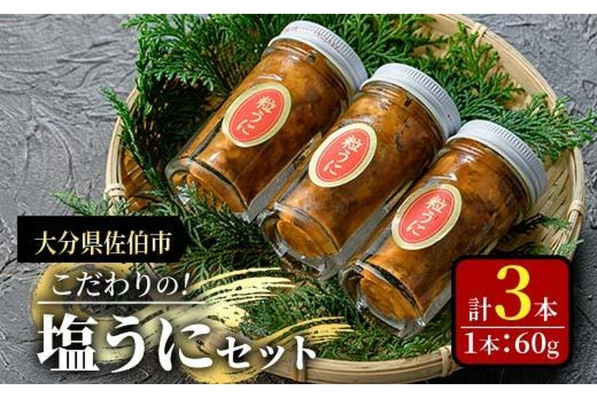 こだわりの塩うにセット(60g×3本)うに ウニ 雲丹 塩うに 冷凍 海の直売所 大分県 佐伯市【AS93】【海べ】