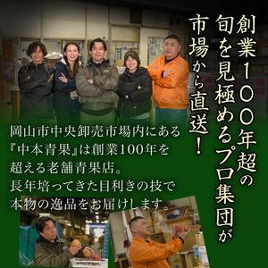 桃 ぶどう 梨 定期便 2026年 晴れの国 岡山 の フルーツ 定期便 6回コース もも 葡萄 なし 岡山県産 国産 セット ギフト