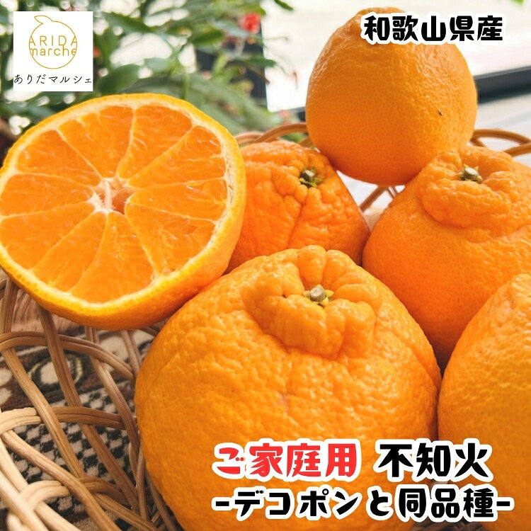 【ふるさと納税】＼選べる内容量／有田育ちの濃厚 不知火 (デコポンと同品種)(訳あり 家庭用) 1～10kg+200g(傷み補償分)