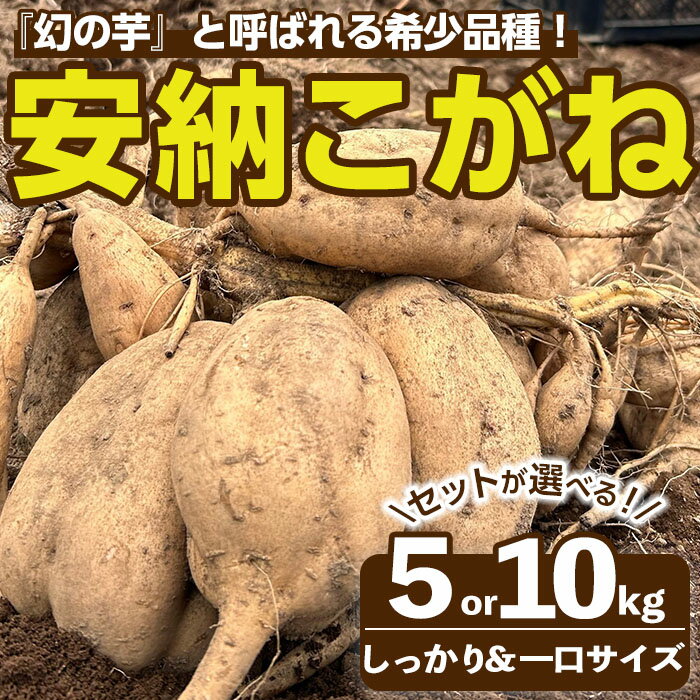 【ふるさと納税】＜先行予約受付中！2025年10月下旬頃より順次発送予定＞内容量が選べる！種子島産 安納こがね(5kgセット or 10kgセット) 国産 安納芋 黄金 本場 種子島 芋 イモ いも さつまいも さつま芋 安納いも 野菜【なかたね農産】