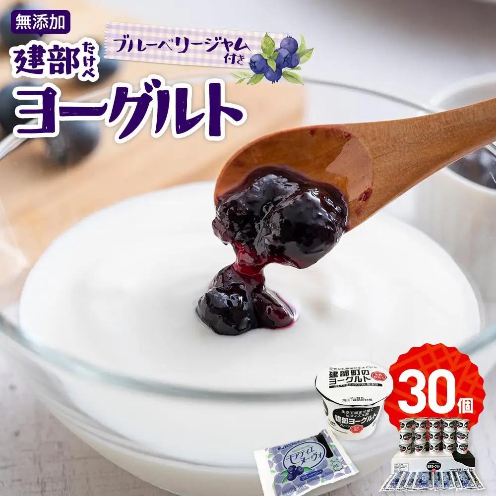 無添加　建部ヨーグルト（ブルーベリージャム付き）30個 [No.5220-0044]