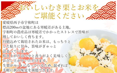 愛媛県西予市産　栗ご飯セット（生栗1.5kg・コシヒカリ2kg）