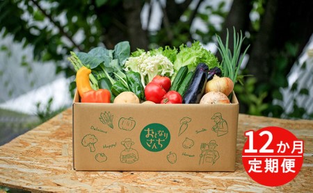野菜 野菜セット 10〜12種類 定期便 12ヶ月 野菜