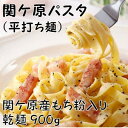 【ふるさと納税】関ケ原パスタ(平打ち麺)900g(約9人前)【1494049】